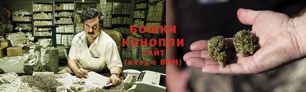 гашик Щучье