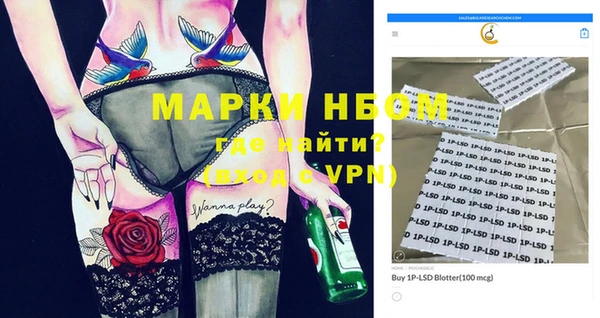 гашик Щучье