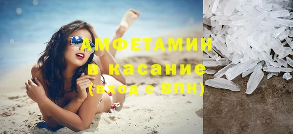 шишки Щёлкино