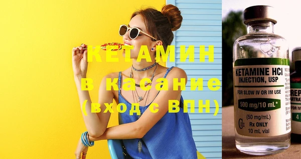 шишки Щёлкино