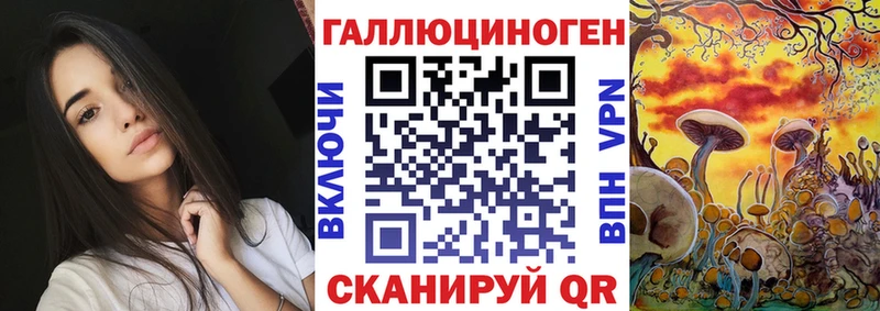 Купить где  Невель  Галлюциногенные грибы прущие грибы 